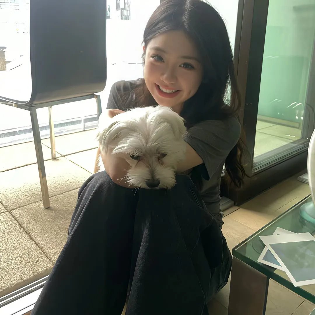 新小屁孩日记